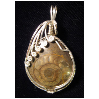 P-19 Ammonite fossil wrapped in sterling silver wire $35.jpg